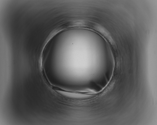 X0000101961370200807251146