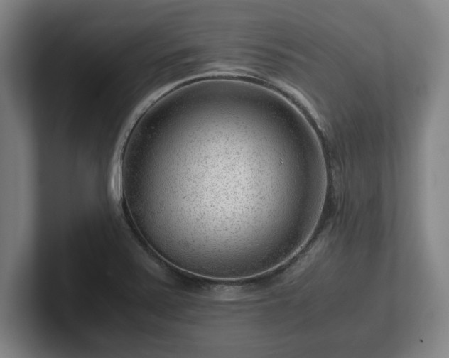 X0000101961371200807251146