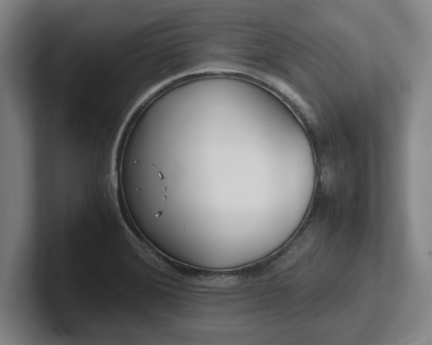 X0000101961372200807251146