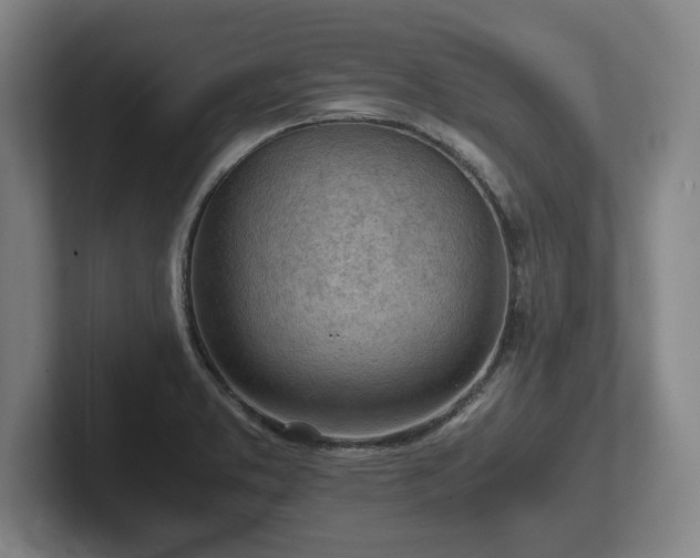 X0000101961373200807251146