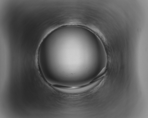 X0000101961374200807251146