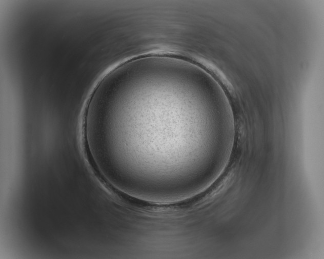 X0000101961375200807251146