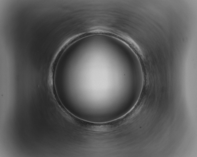 X0000101961376200807251146