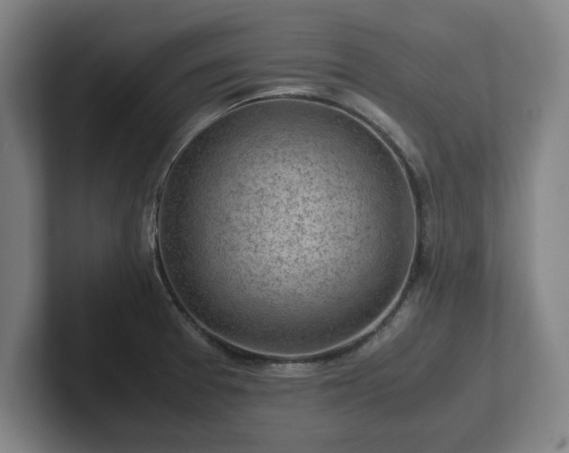 X0000101961377200807251146