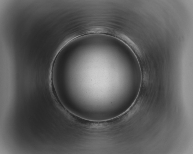 X0000101961378200807251146