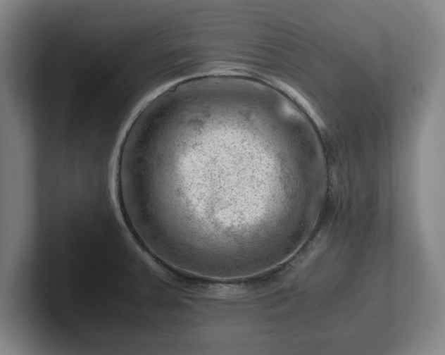 X0000101961379200807251146