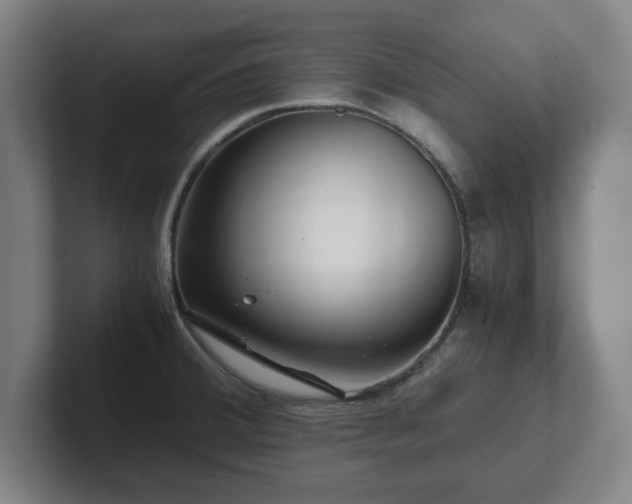 X0000101961380200807251146