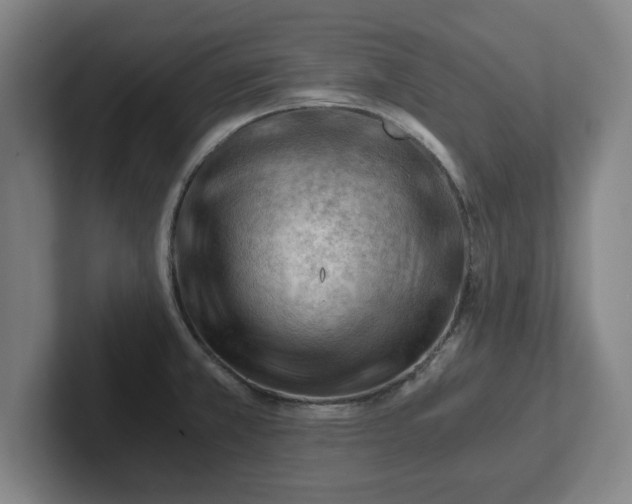 X0000101961381200807251146