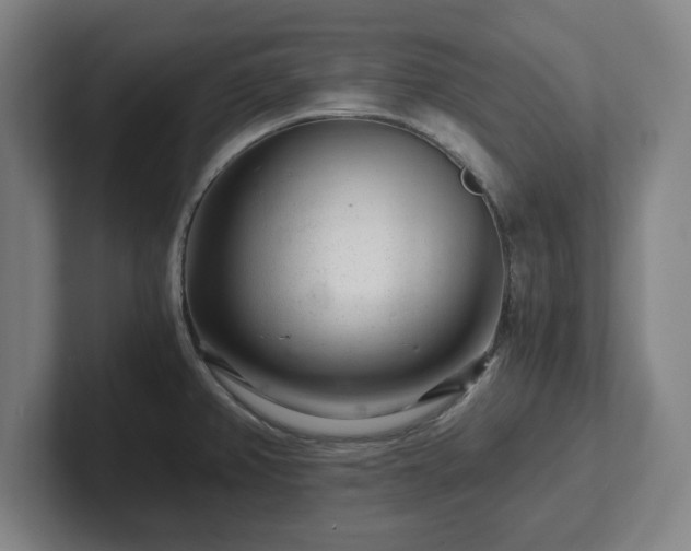 X0000101961382200807251146