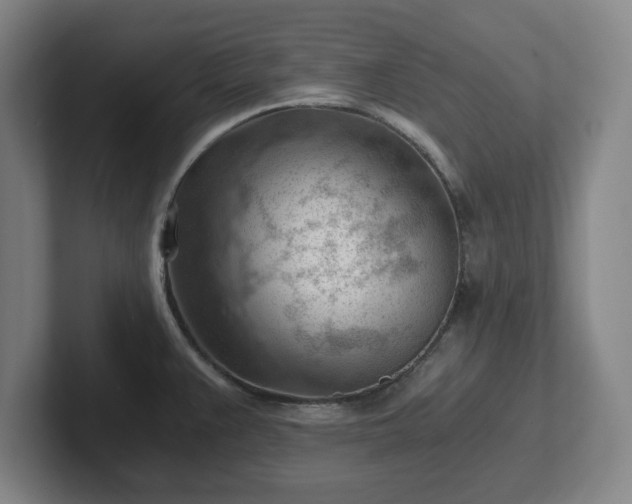 X0000101961383200807251146