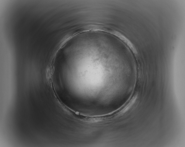 X0000101961385200807251146