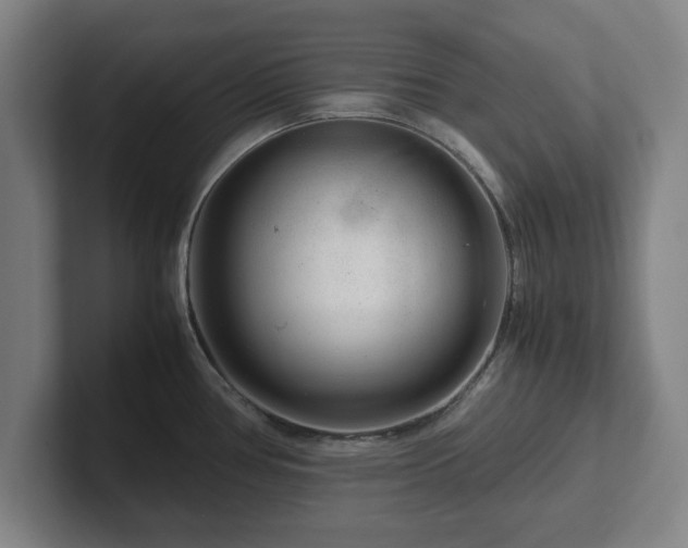 X0000101961386200807251146