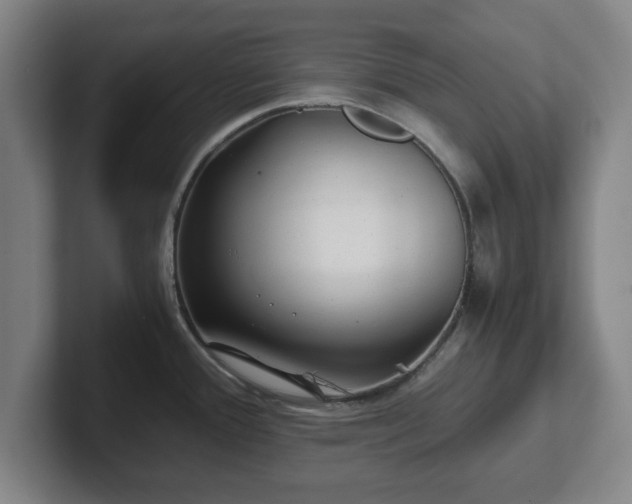 X0000101961388200807251146