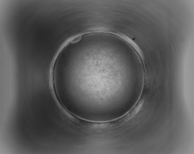 X0000101961389200807251146