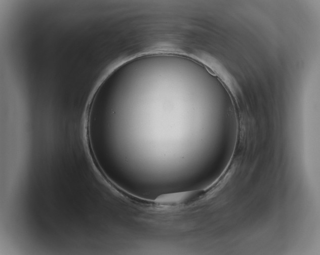 X0000101961390200807251146