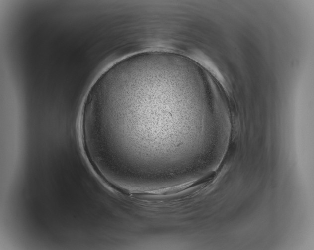 X0000101961391200807251146