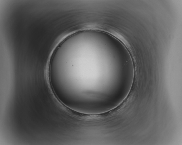 X0000101961392200807251146