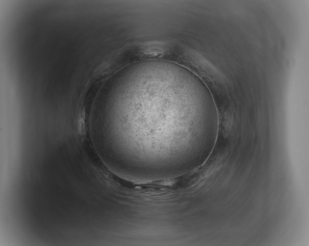 X0000101961394200807251145