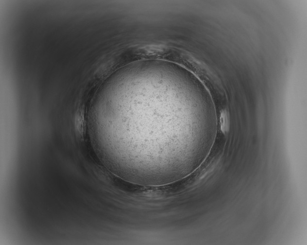 X0000101961395200807251145