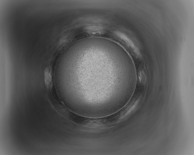 X0000101961396200807251145