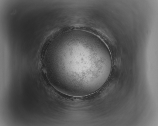 X0000101961398200807251145