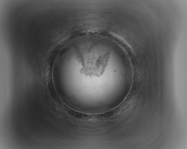 X0000101961399200807251145