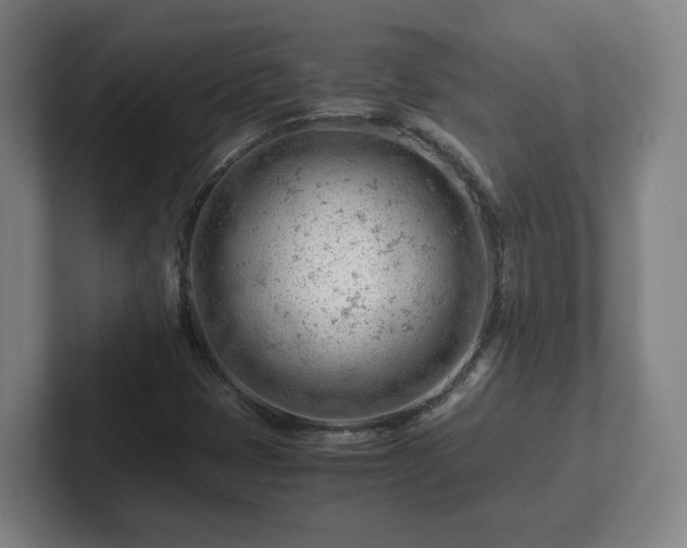 X0000101961401200807251145