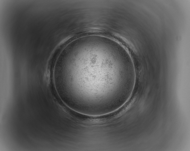 X0000101961402200807251145