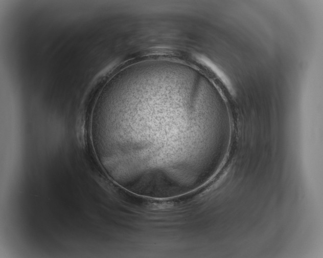 X0000101961403200807251145