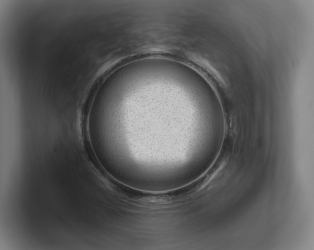 X0000101961404200807251145