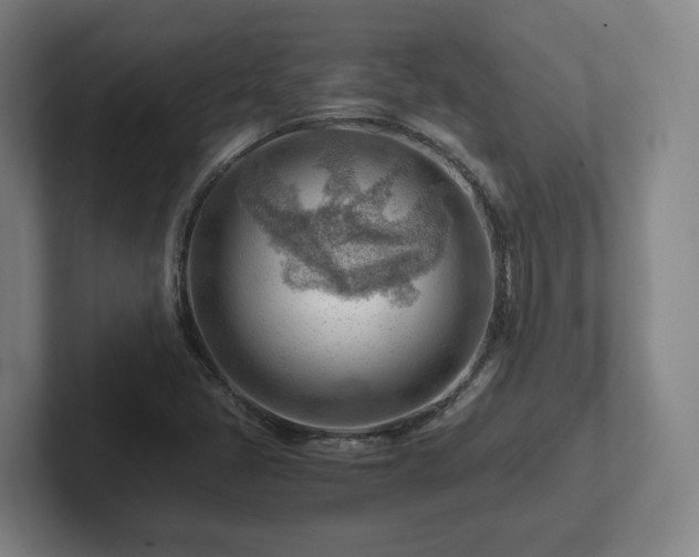 X0000101961405200807251145