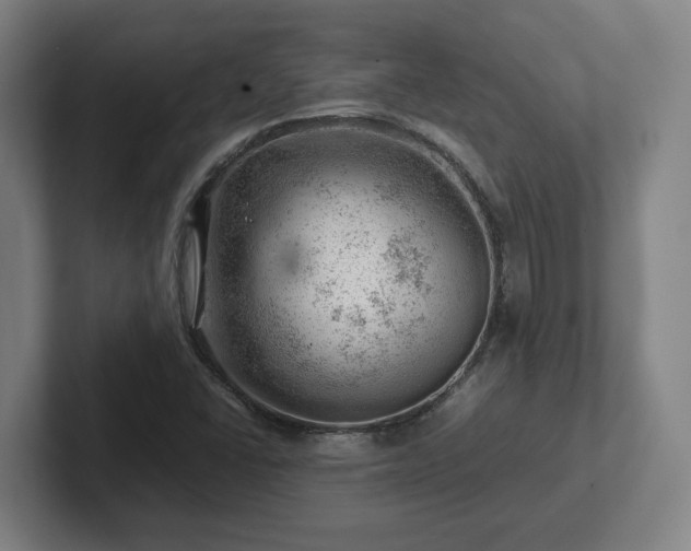 X0000101961406200807251145