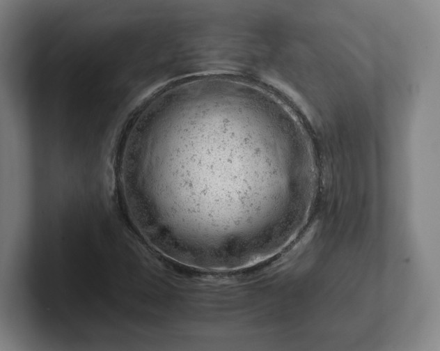 X0000101961407200807251145