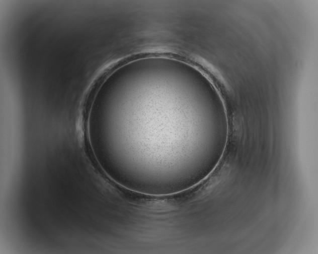 X0000101961408200807251145