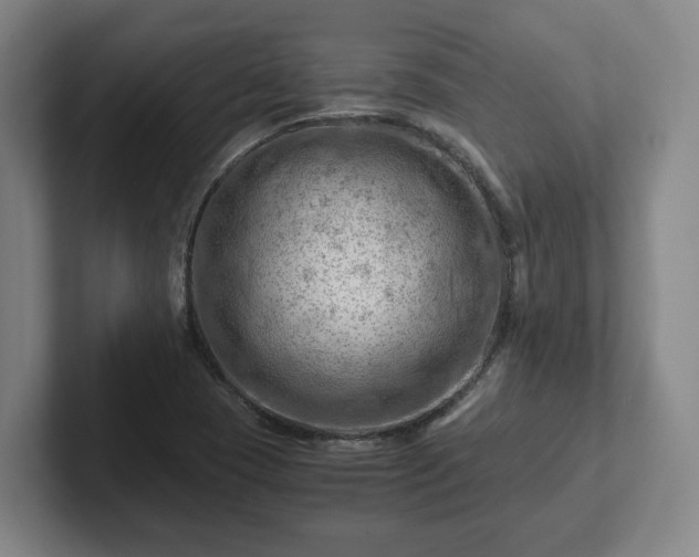 X0000101961409200807251145