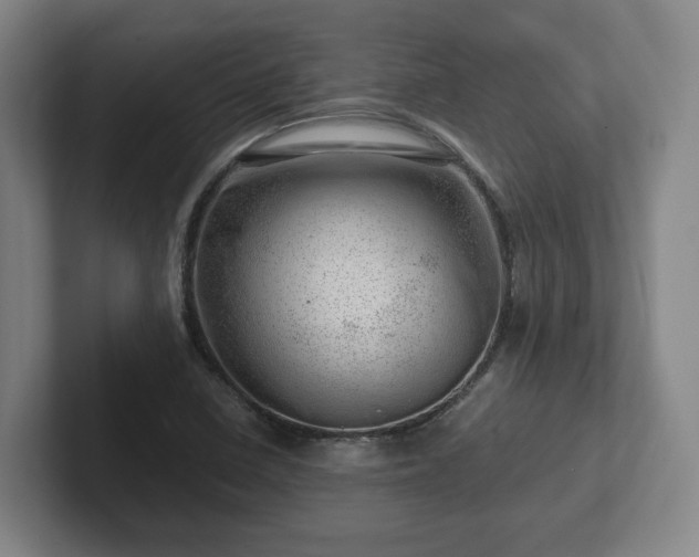 X0000101961410200807251145