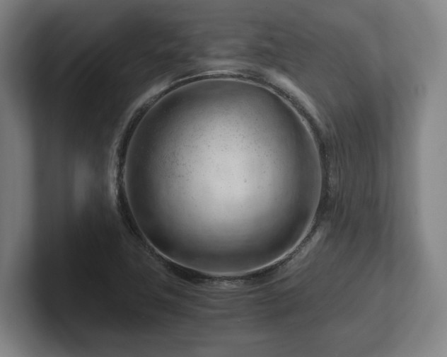 X0000101961411200807251145