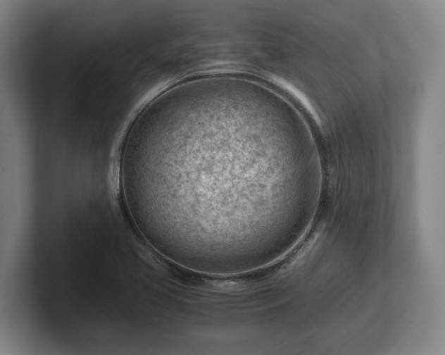 X0000101961413200807251145