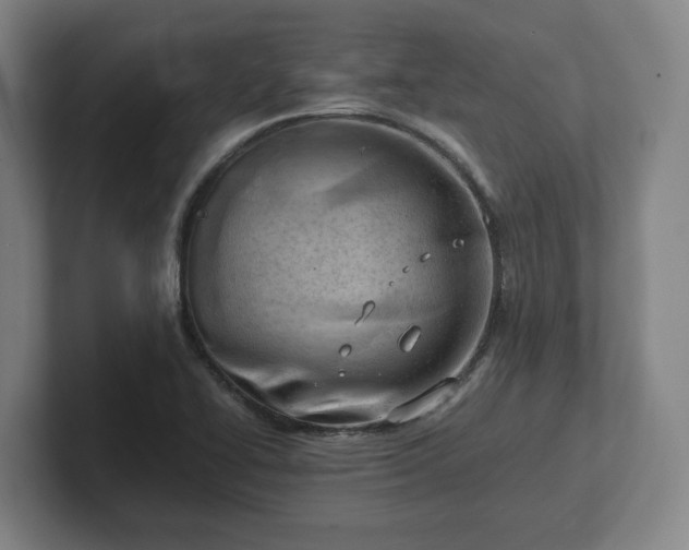 X0000101961414200807251145