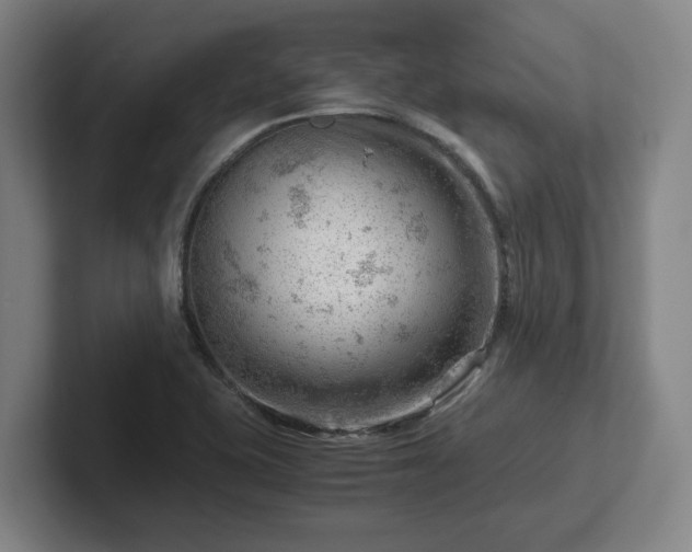 X0000101961415200807251145