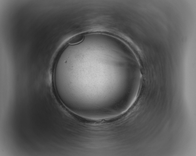 X0000101961416200807251145