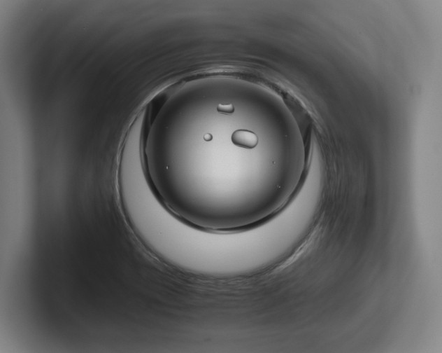 X0000101961417200807251145