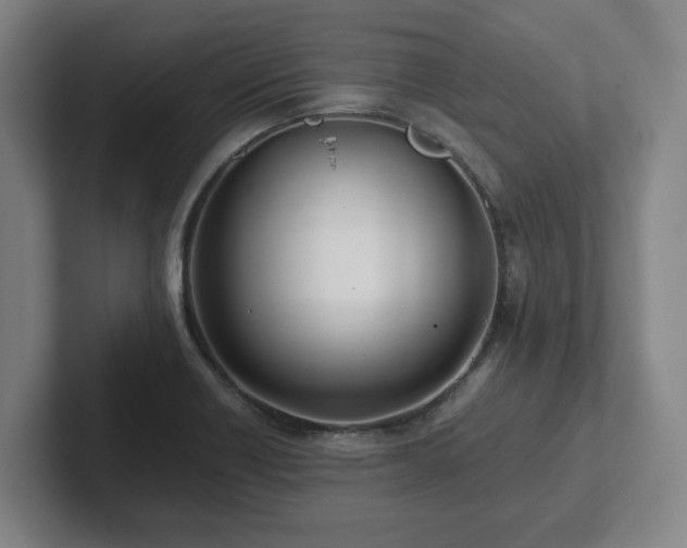 X0000101961418200807251145