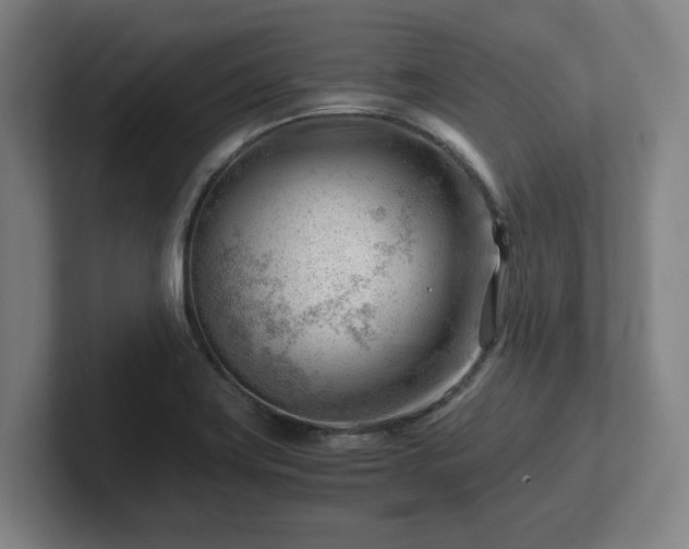 X0000101961419200807251145