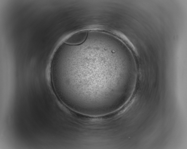 X0000101961421200807251145