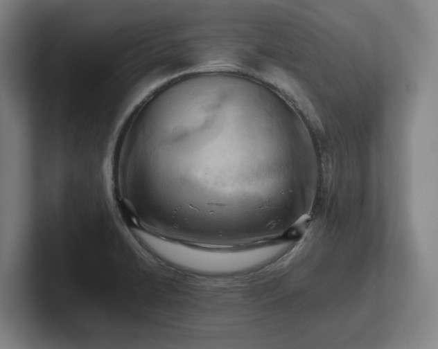 X0000101961422200807251145