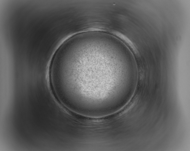 X0000101961423200807251145