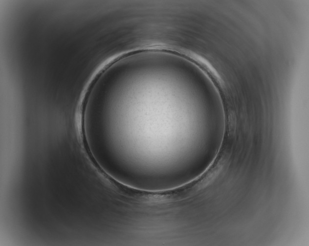 X0000101961424200807251145