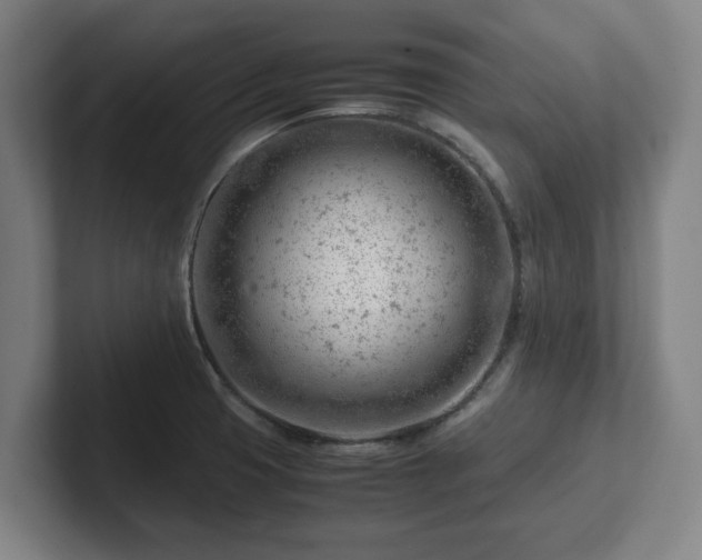 X0000101961425200807251145