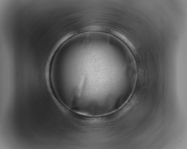 X0000101961426200807251145